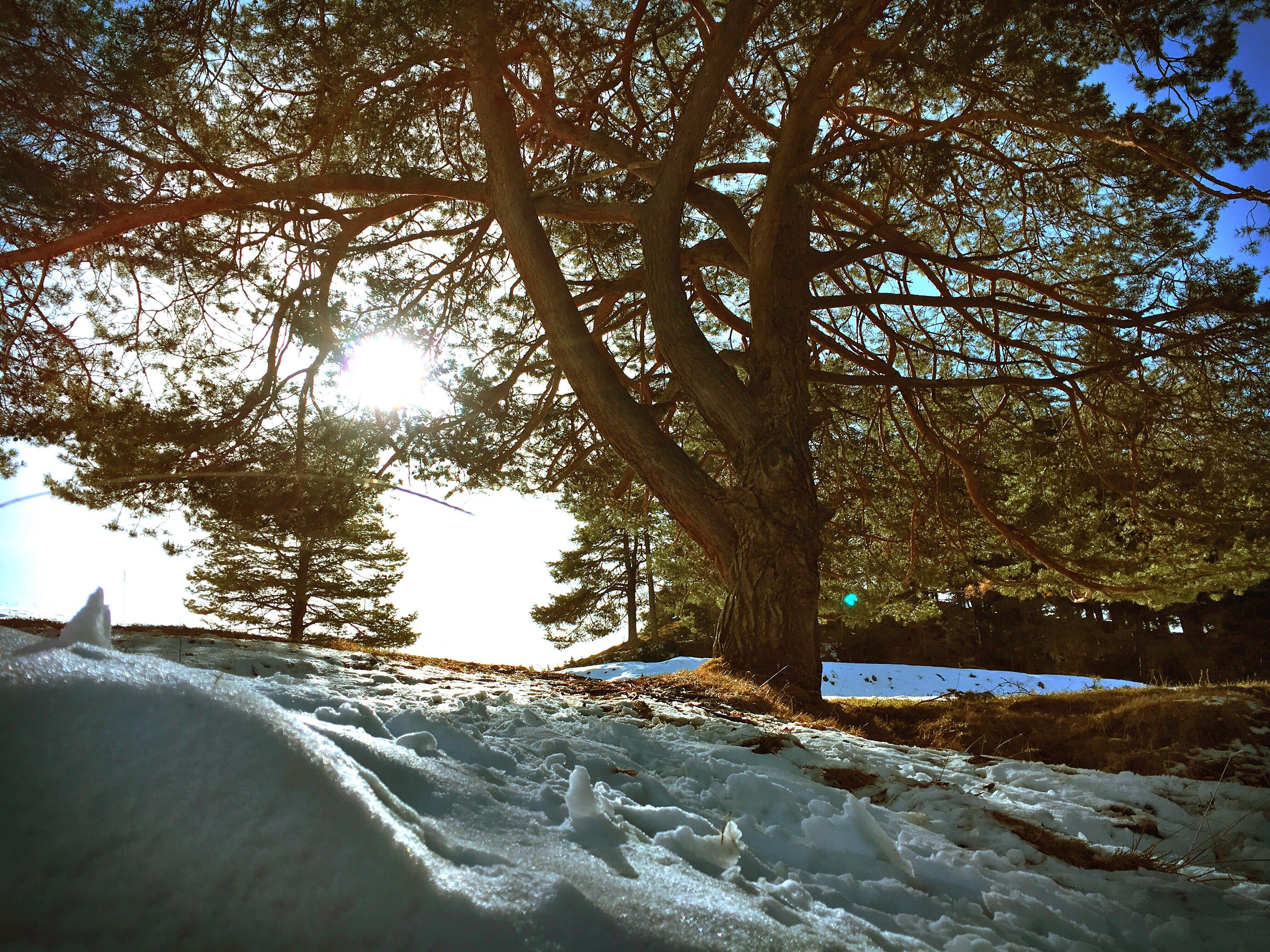 Bild ohne Beschreibung