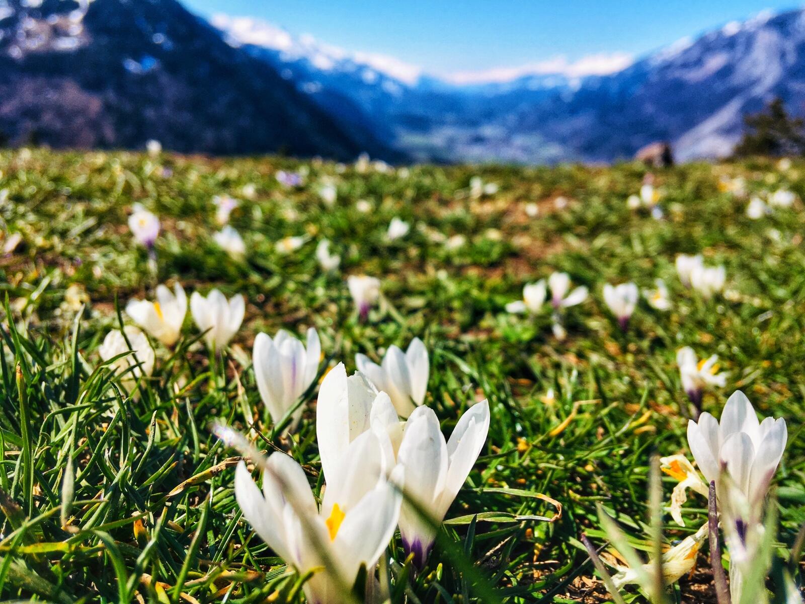 Bild ohne Beschreibung