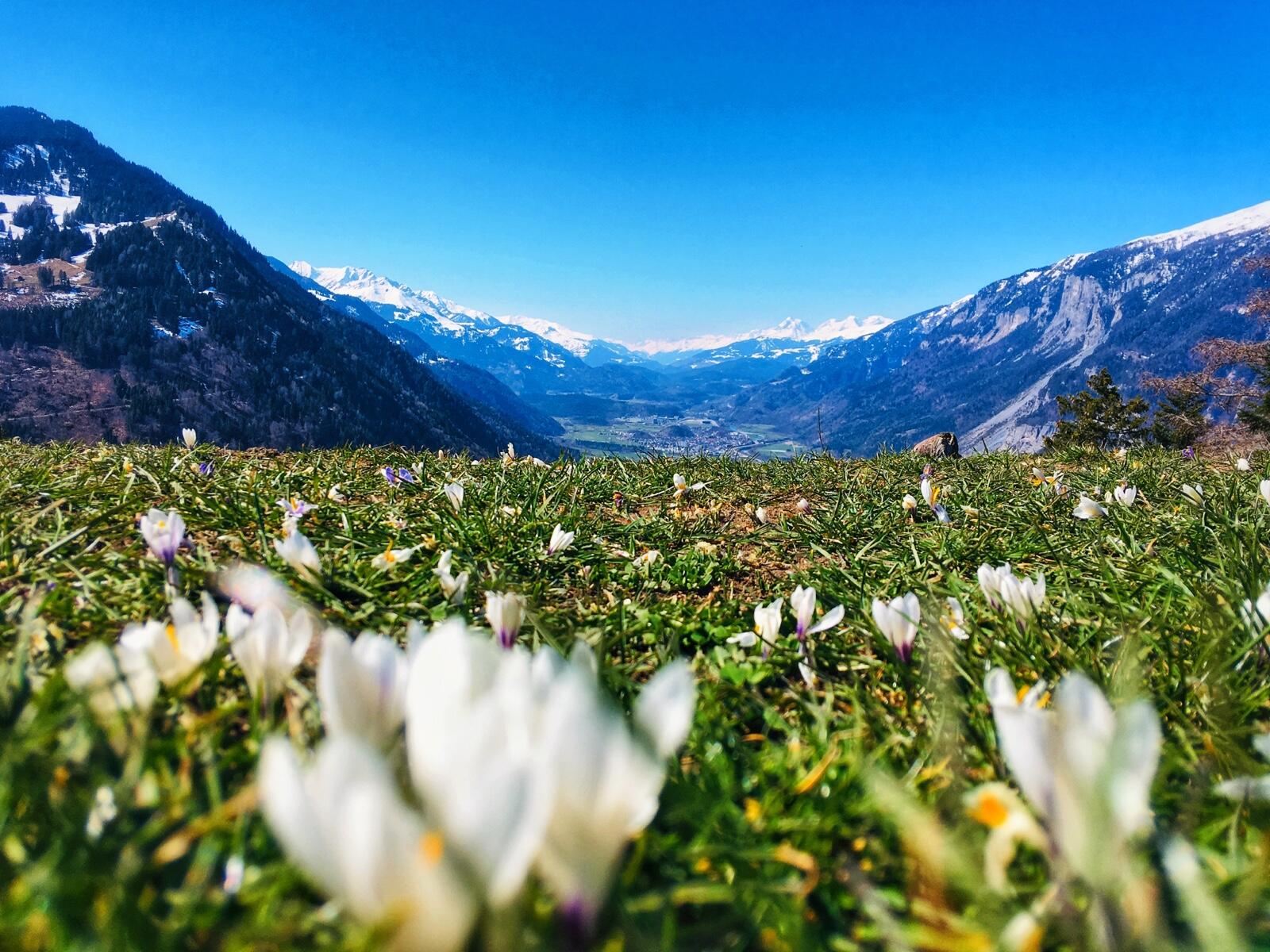 Bild ohne Beschreibung