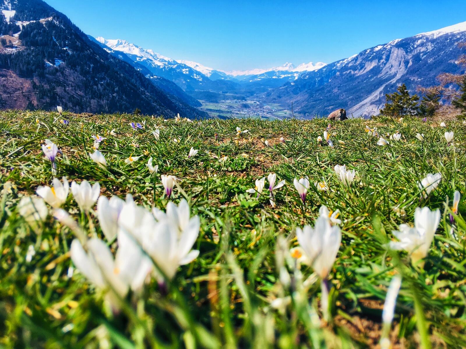 Bild ohne Beschreibung