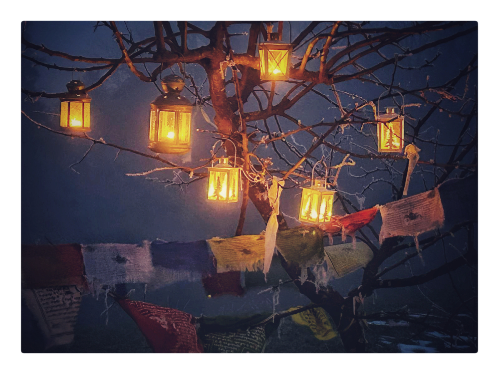 Bild ohne Beschreibung Bild ohne Beschreibung