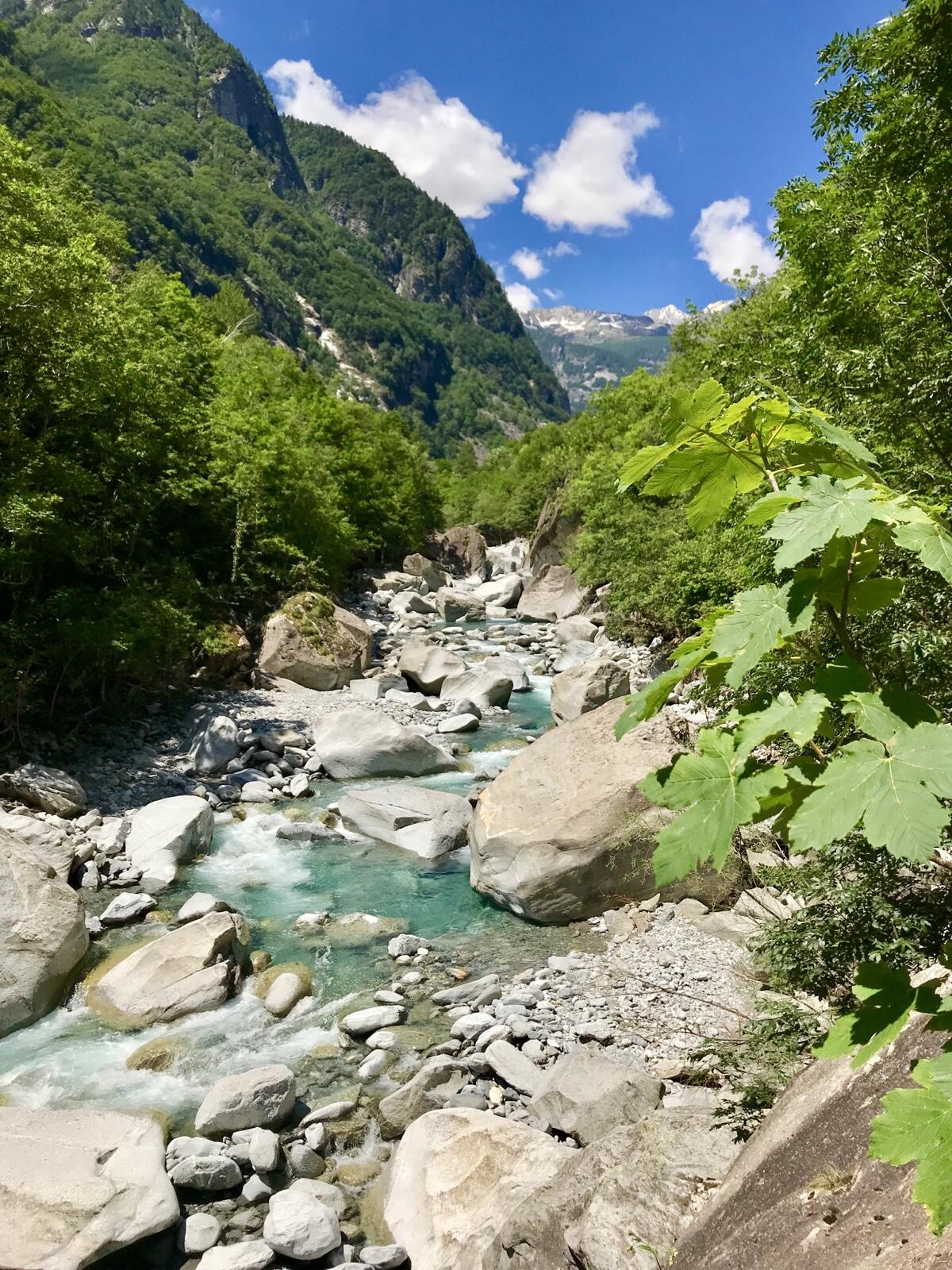 Bild ohne Beschreibung Bild ohne Beschreibung