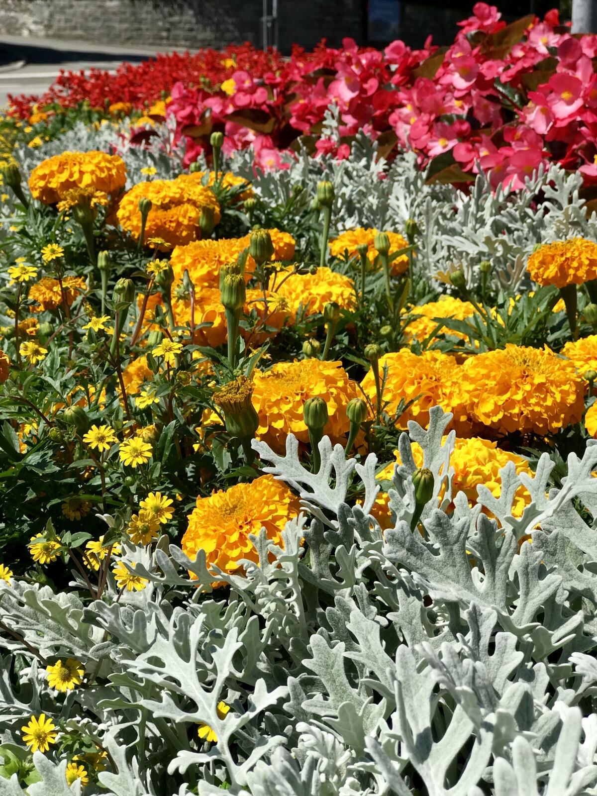 Bild ohne Beschreibung Bild ohne Beschreibung