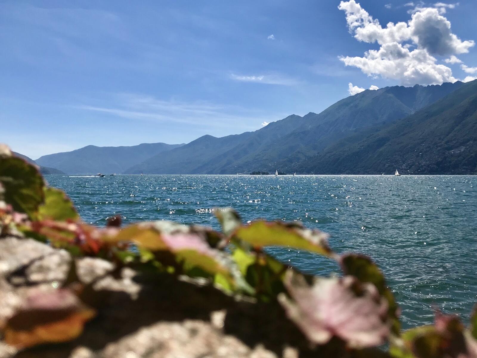 Bild ohne Beschreibung Bild ohne Beschreibung