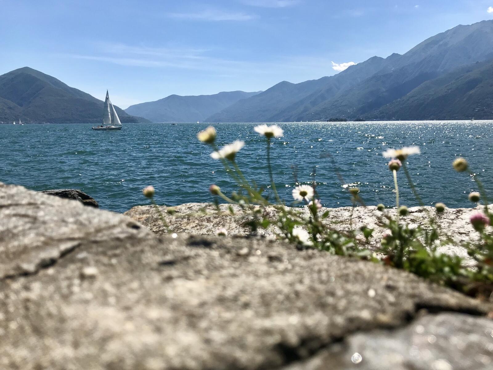 Bild ohne Beschreibung Bild ohne Beschreibung