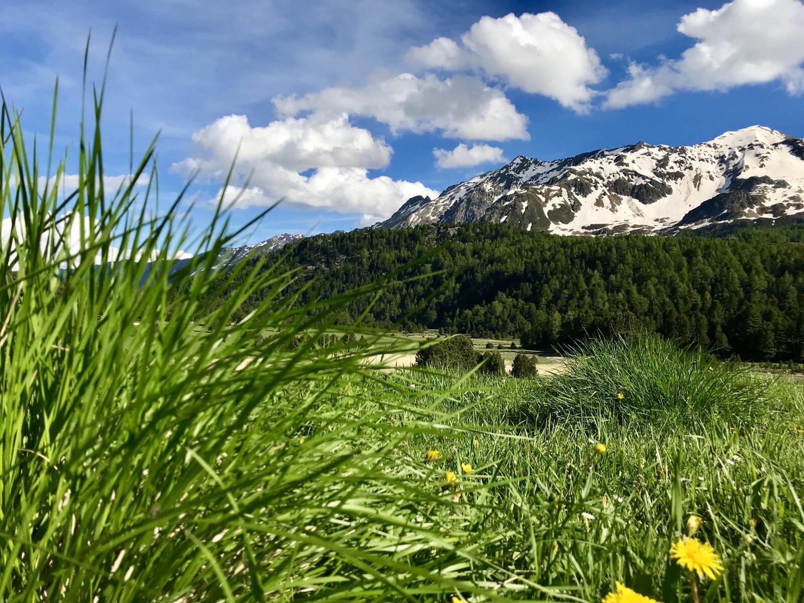 Bild ohne Beschreibung Bild ohne Beschreibung
