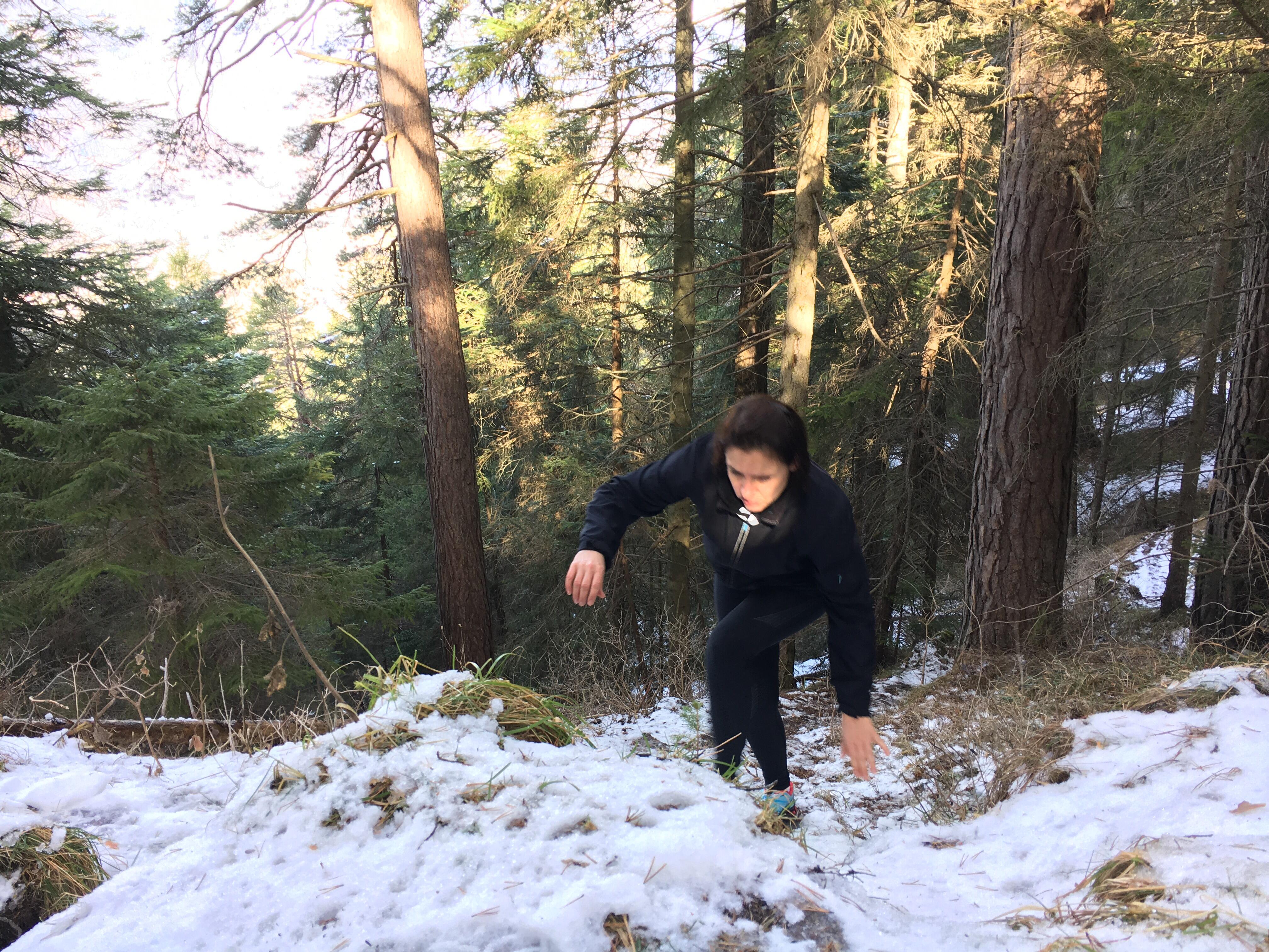 Bild ohne Beschreibung