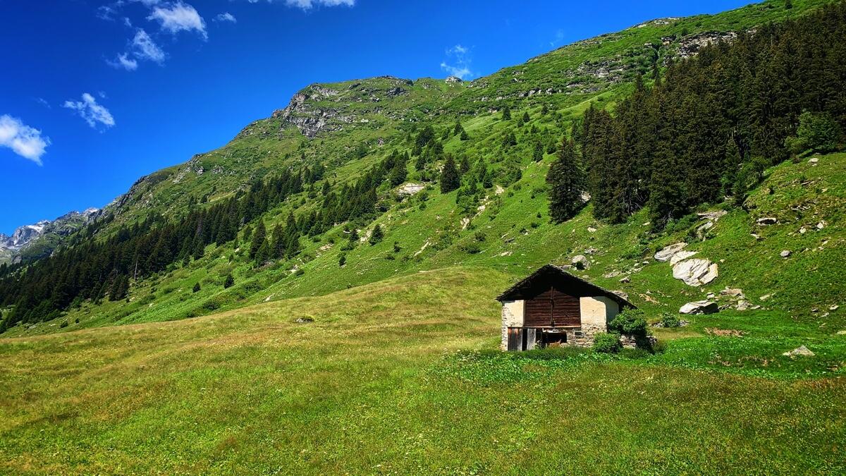 Bild ohne Beschreibung