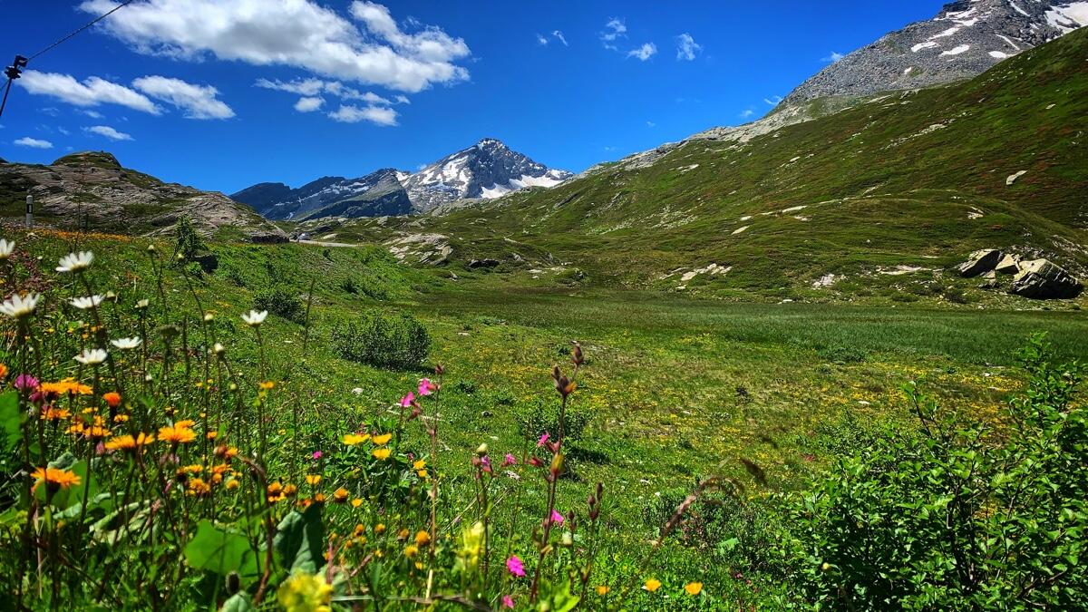 Bild ohne Beschreibung