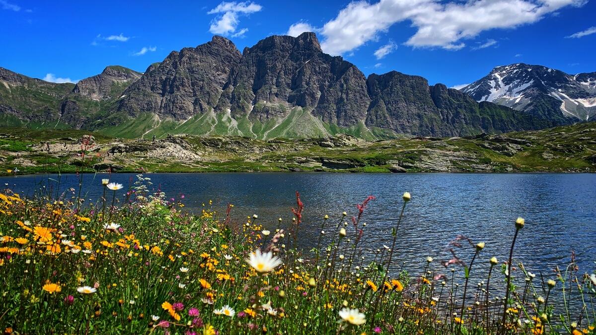 Bild ohne Beschreibung