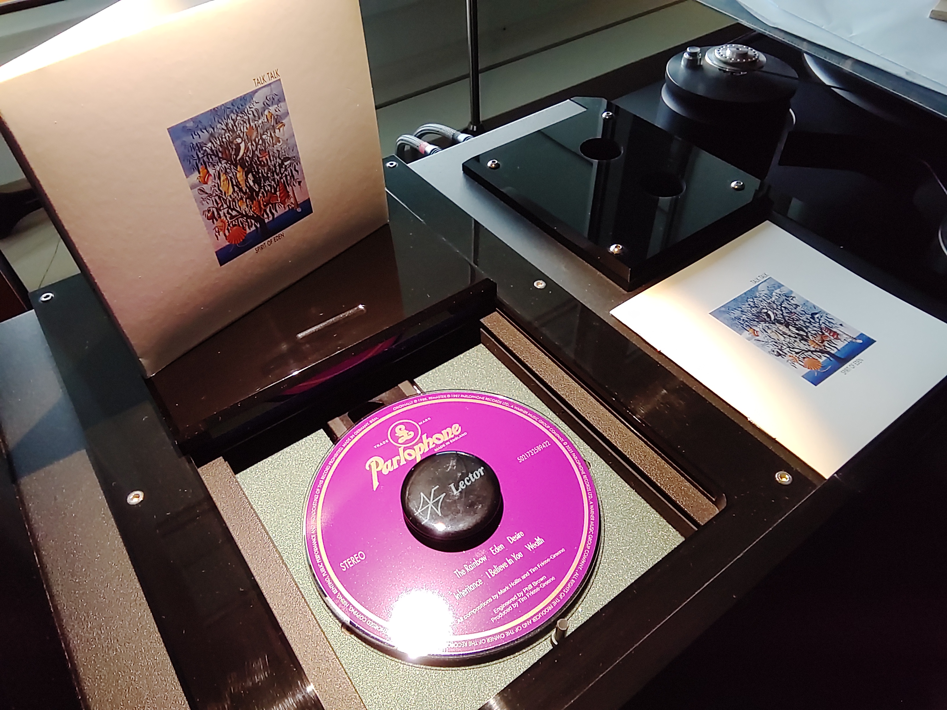 img 20251005 172524 img 20251005 172524