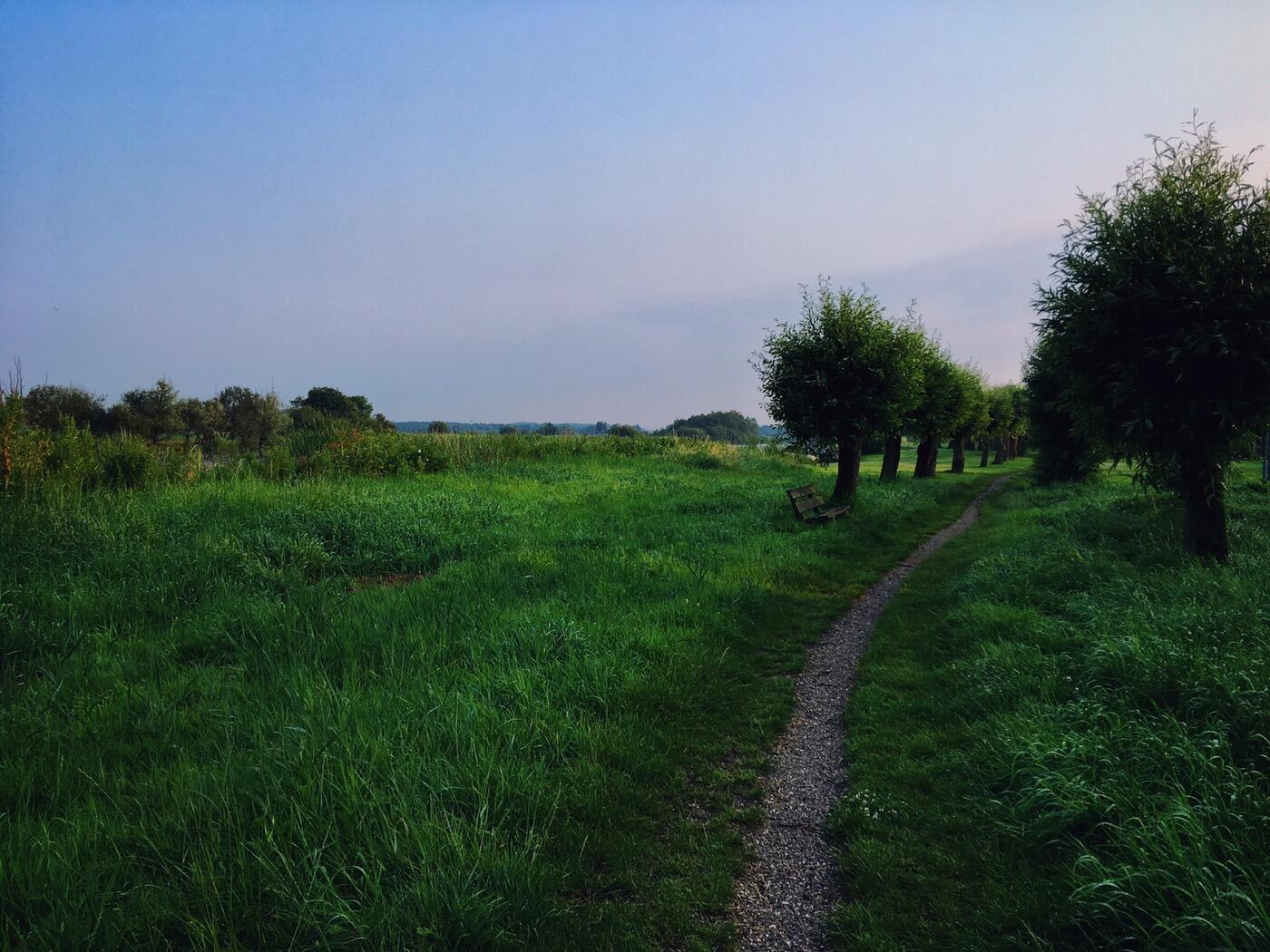 Bild ohne Beschreibung