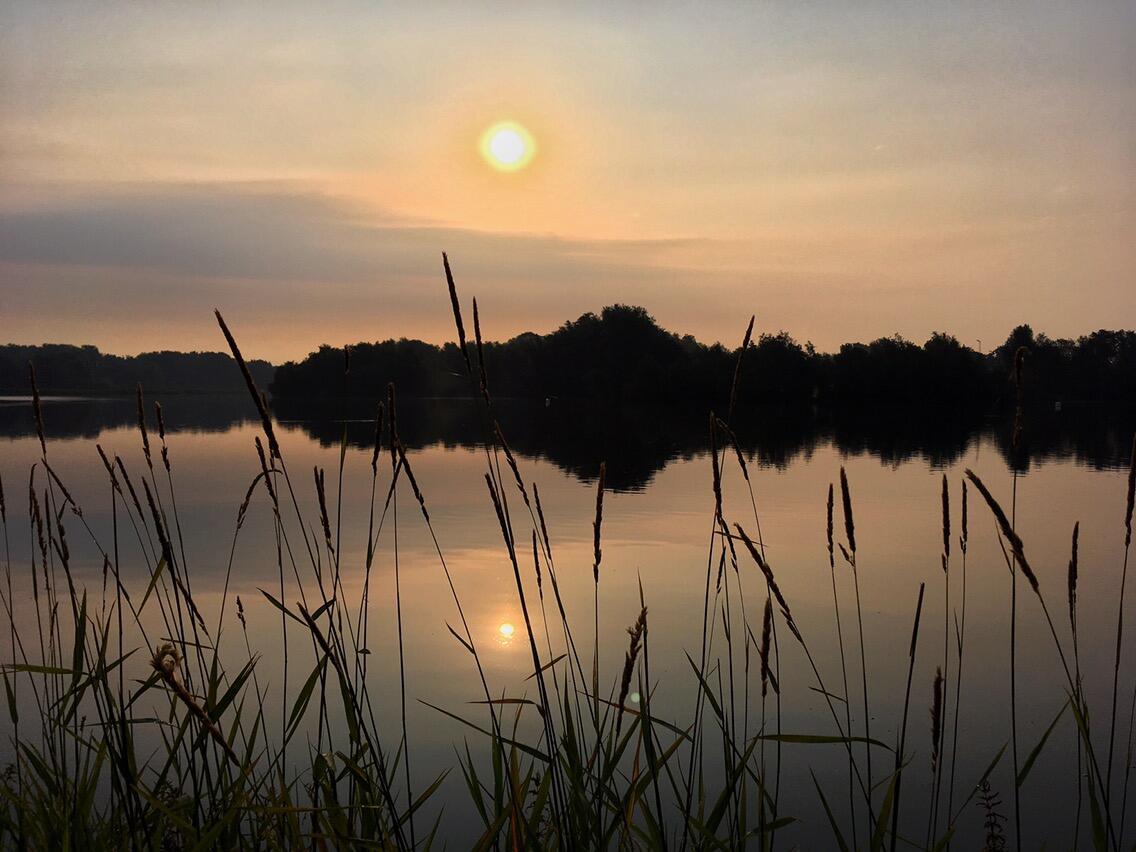 Bild ohne Beschreibung