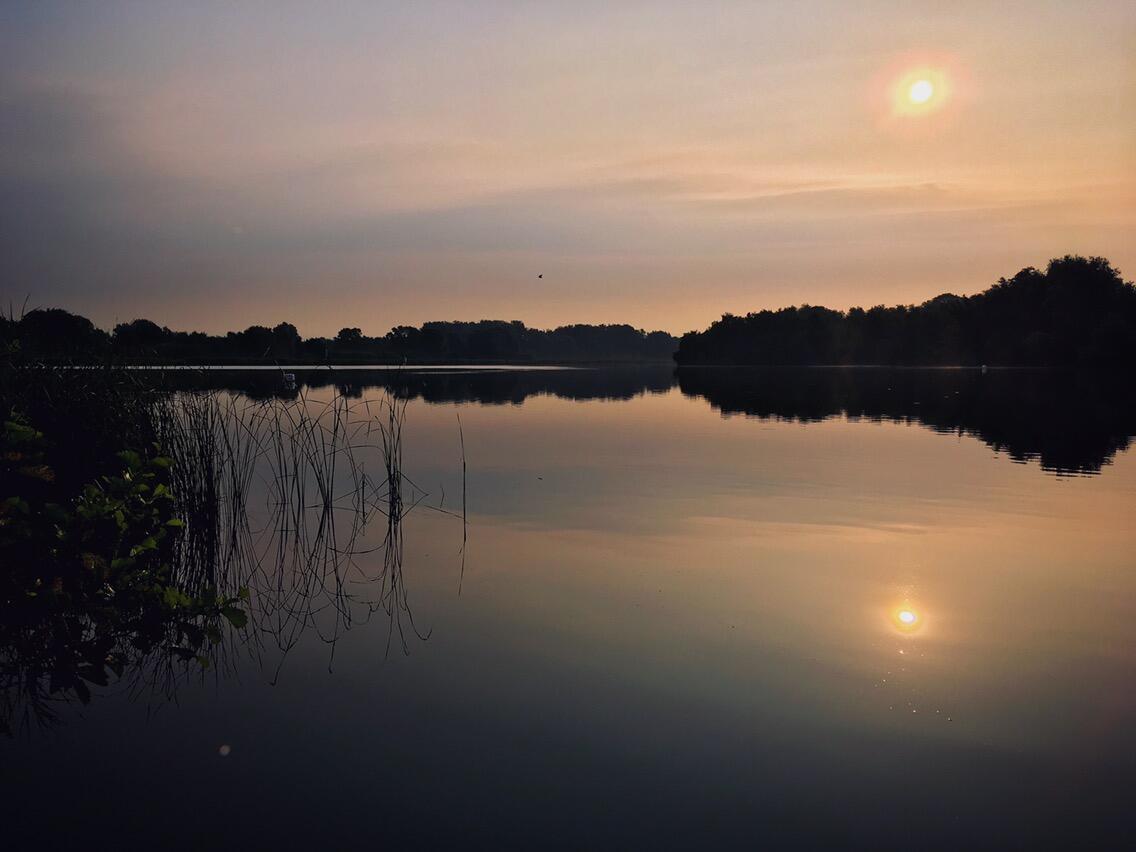 Bild ohne Beschreibung