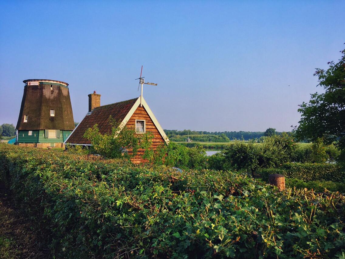 Bild ohne Beschreibung