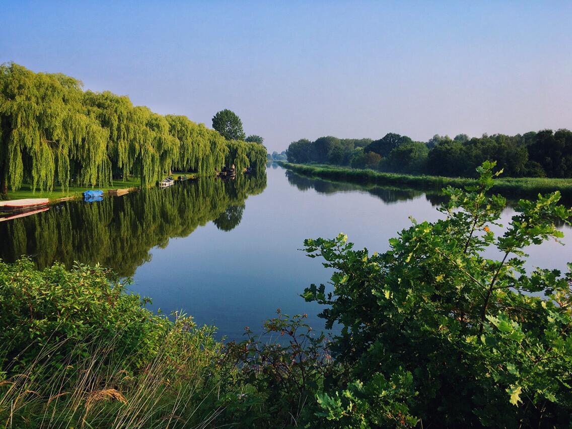 Bild ohne Beschreibung