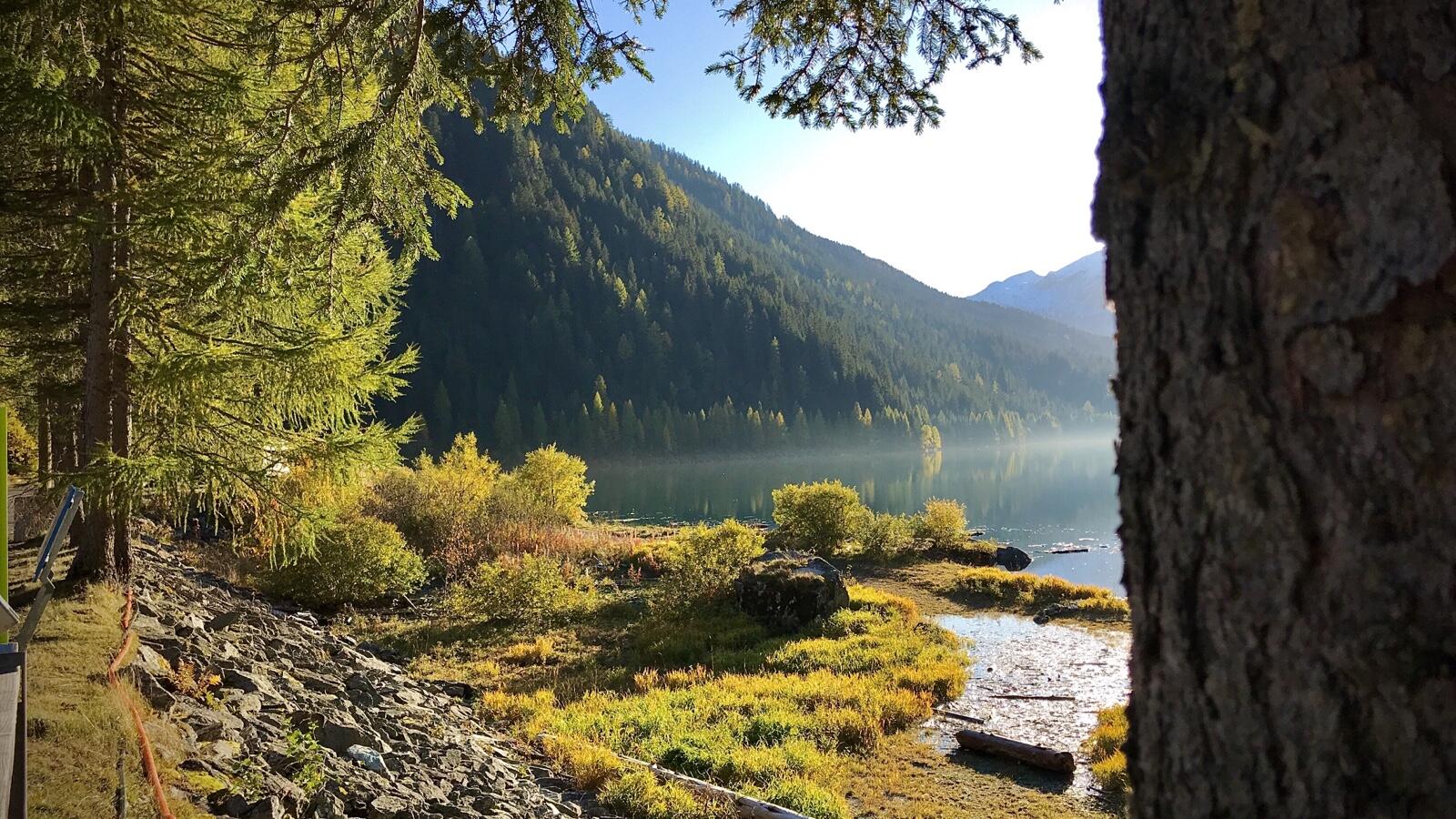 Bild ohne Beschreibung