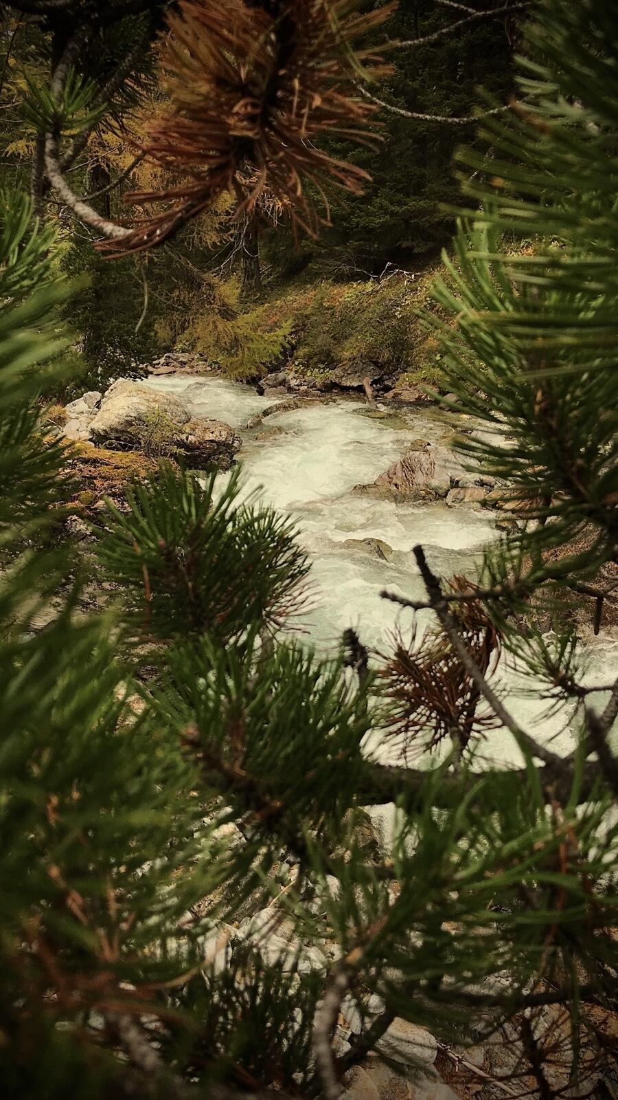 Bild ohne Beschreibung