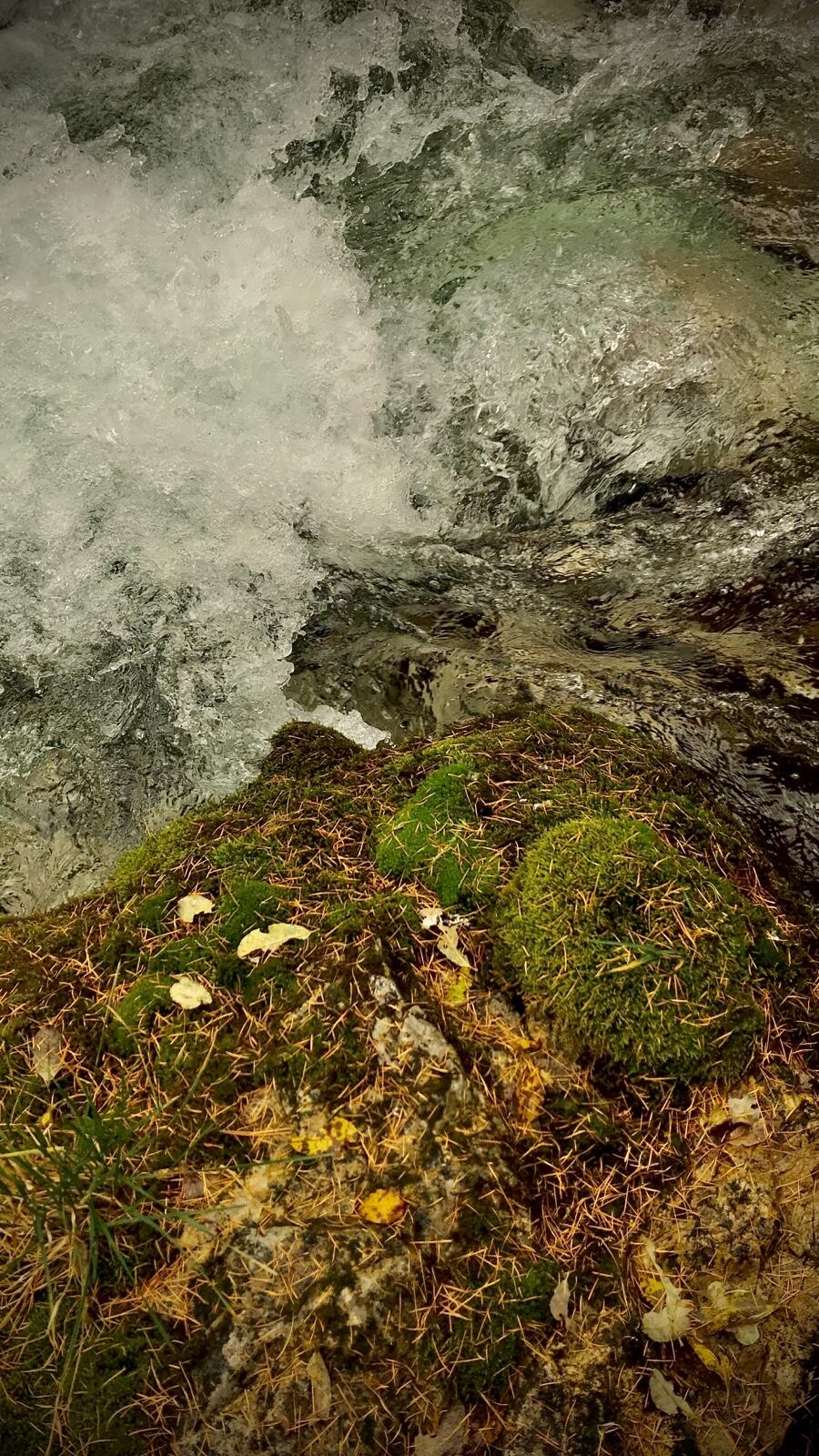 Bild ohne Beschreibung