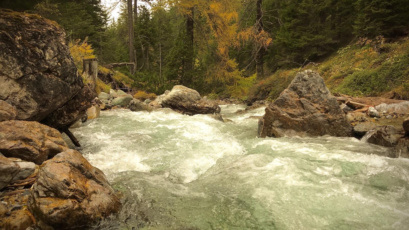 Bild ohne Beschreibung