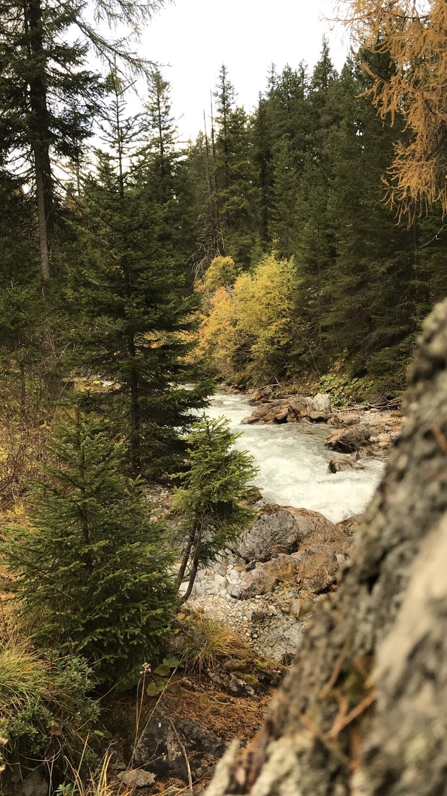 Bild ohne Beschreibung