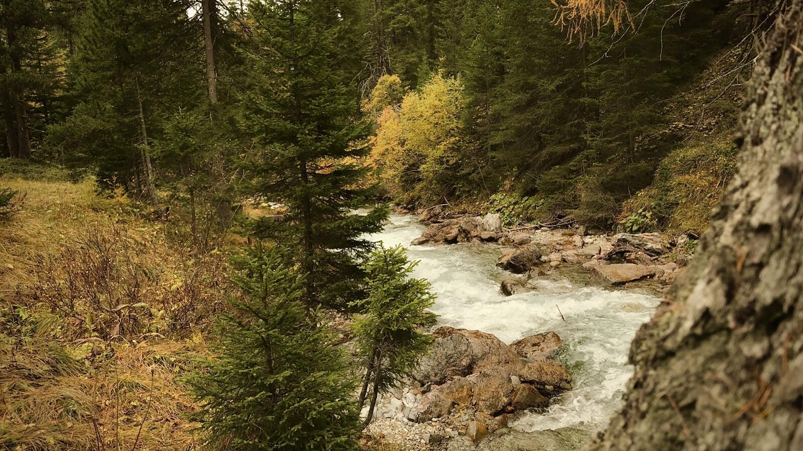 Bild ohne Beschreibung