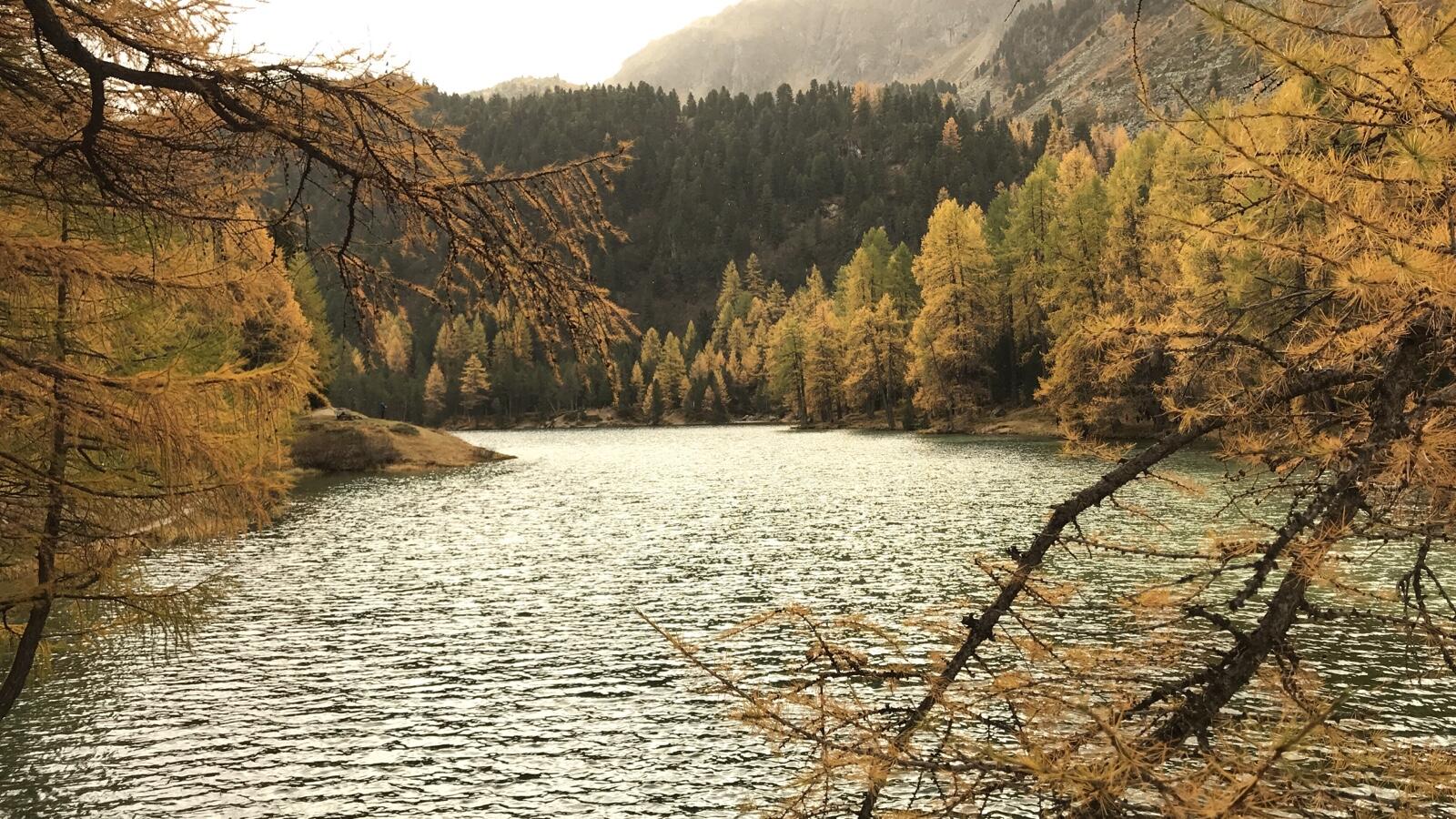 Bild ohne Beschreibung