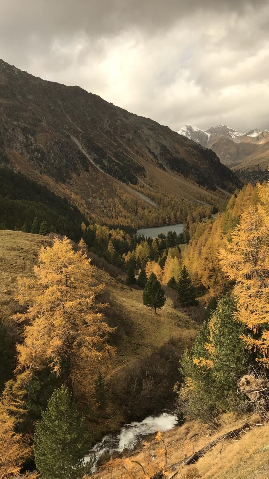 Bild ohne Beschreibung