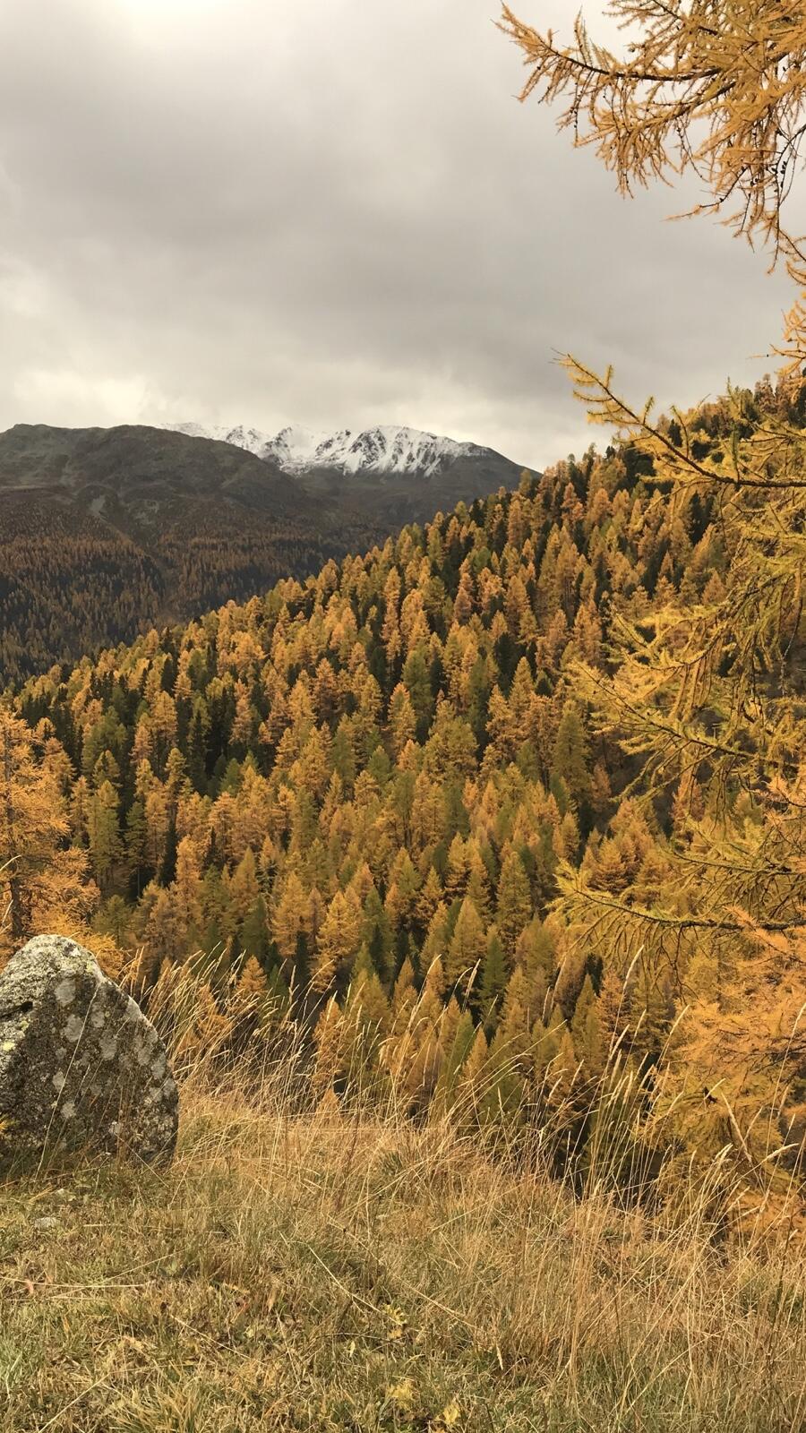 Bild ohne Beschreibung