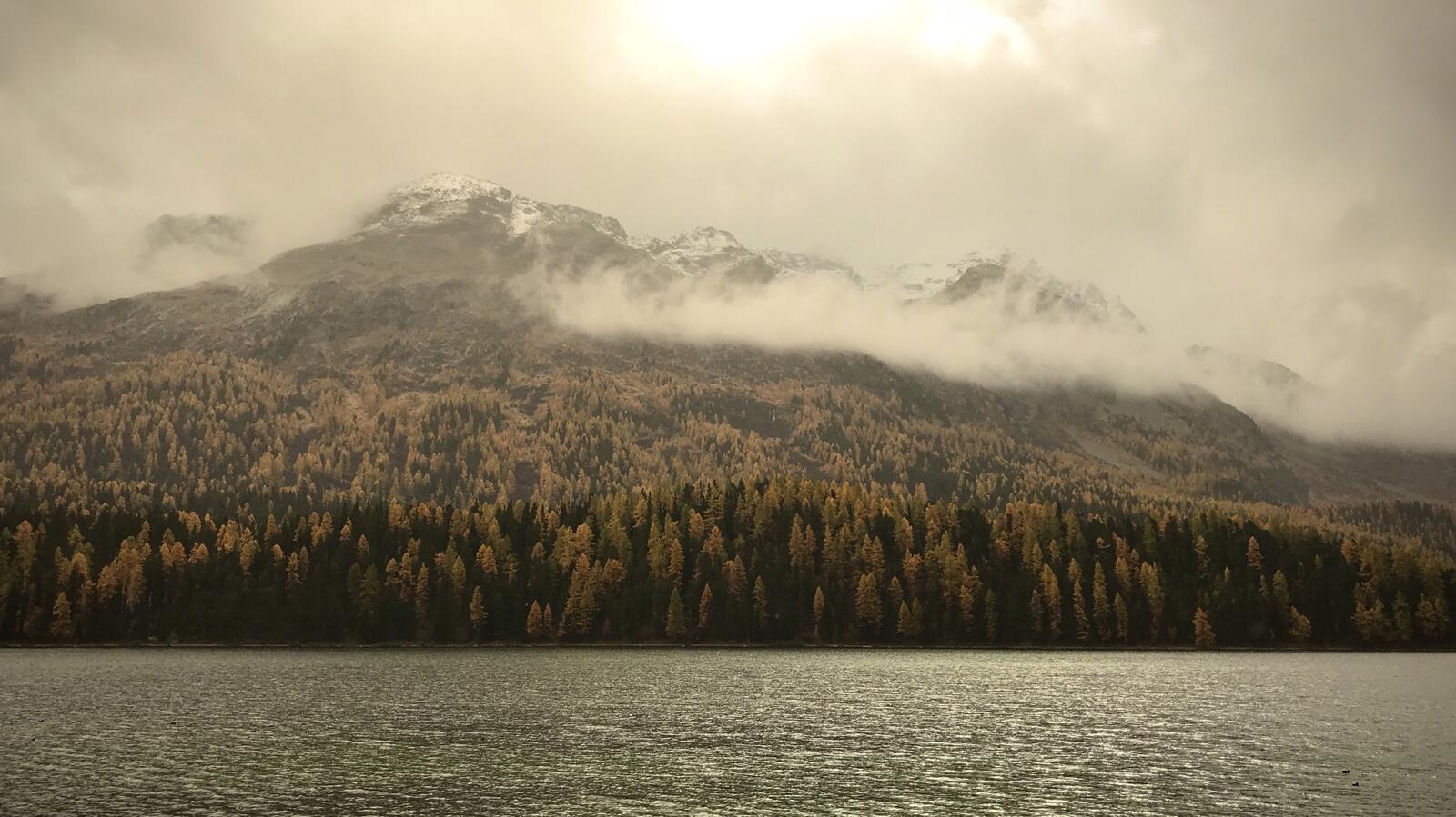 Bild ohne Beschreibung