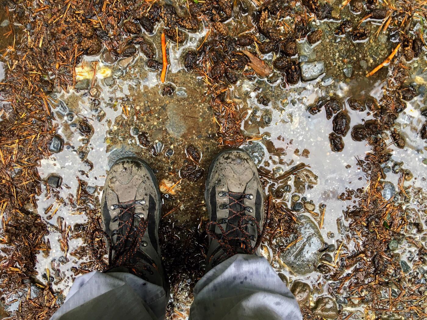 Bild ohne Beschreibung