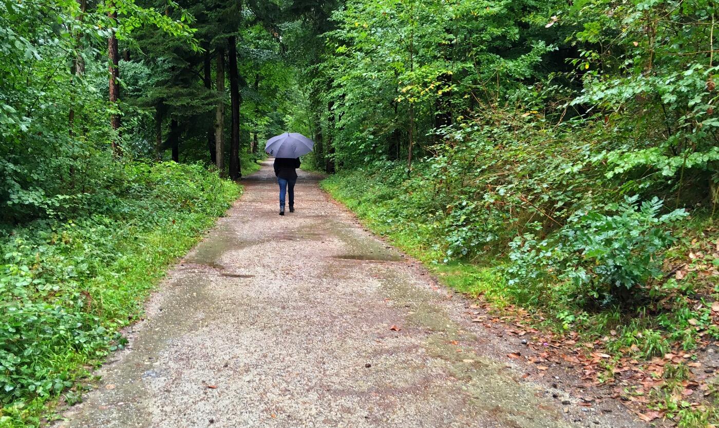 Bild ohne Beschreibung