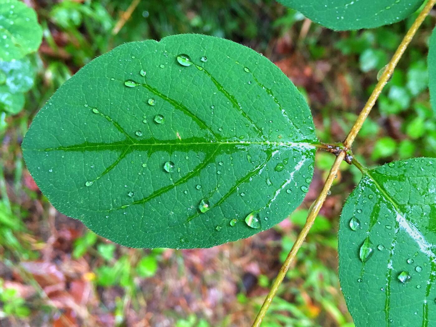 Bild ohne Beschreibung