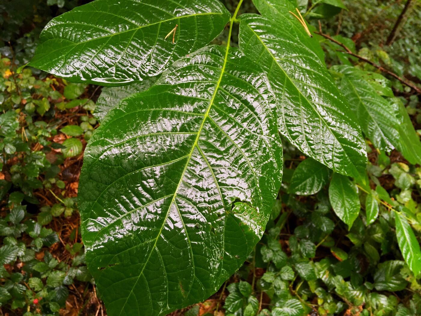 Bild ohne Beschreibung