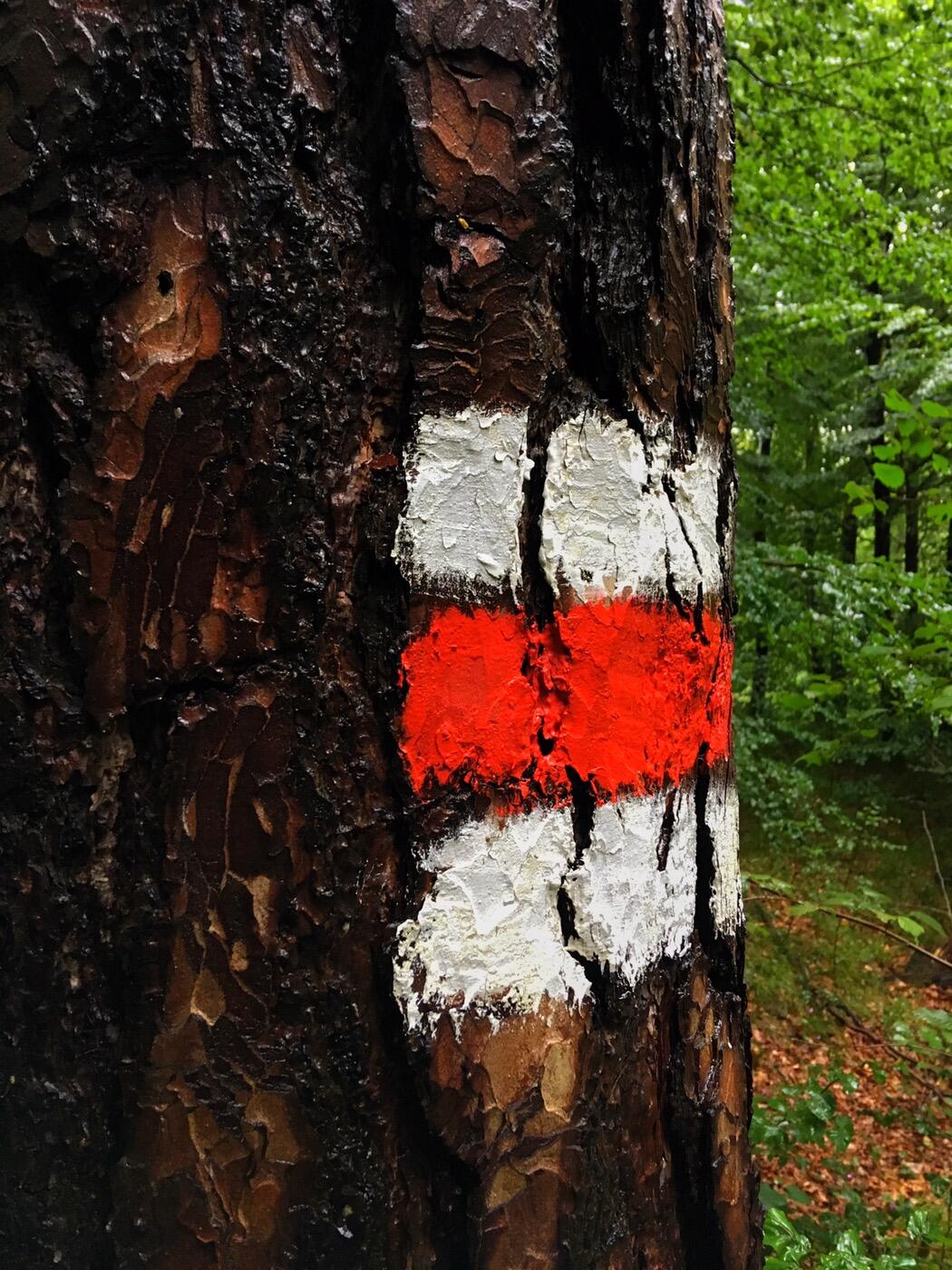 Bild ohne Beschreibung