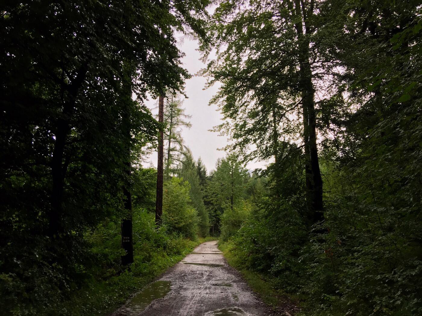 Bild ohne Beschreibung