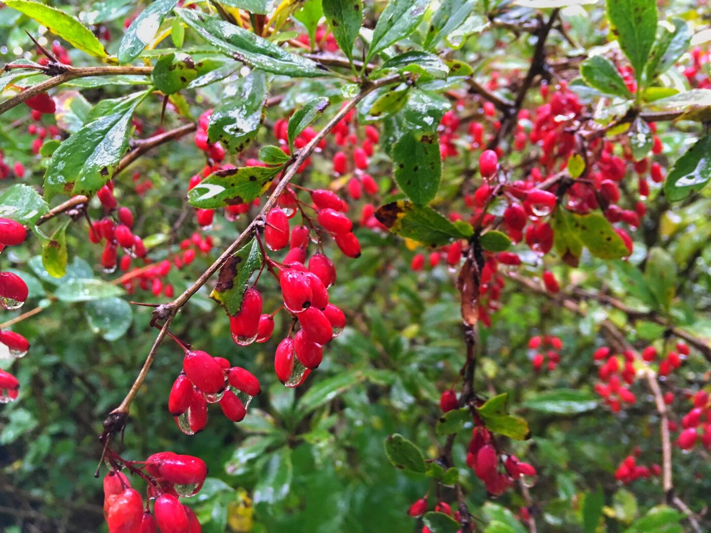 Bild ohne Beschreibung