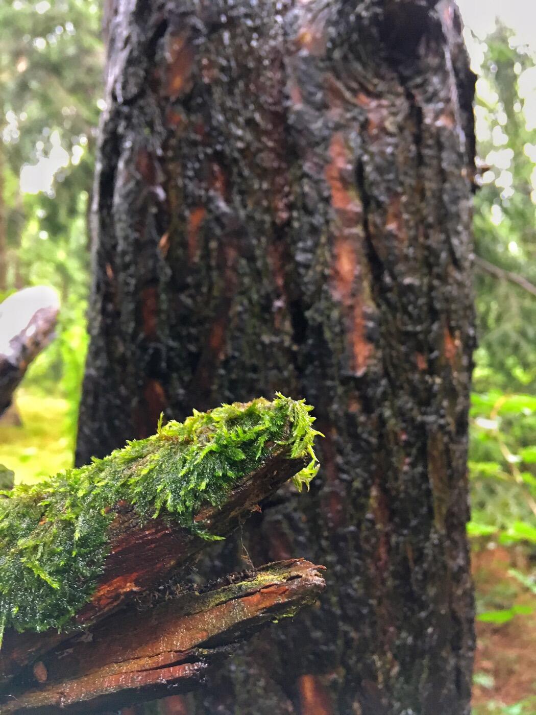 Bild ohne Beschreibung