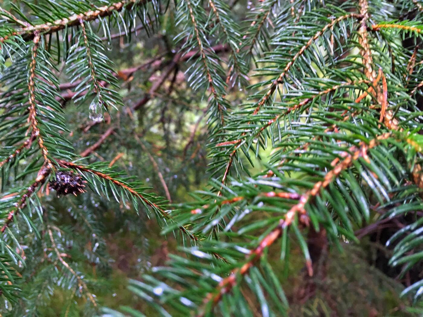 Bild ohne Beschreibung