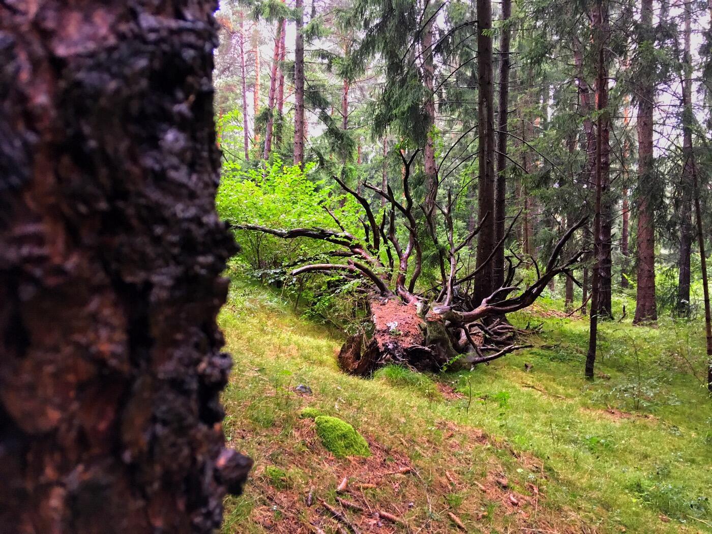 Bild ohne Beschreibung