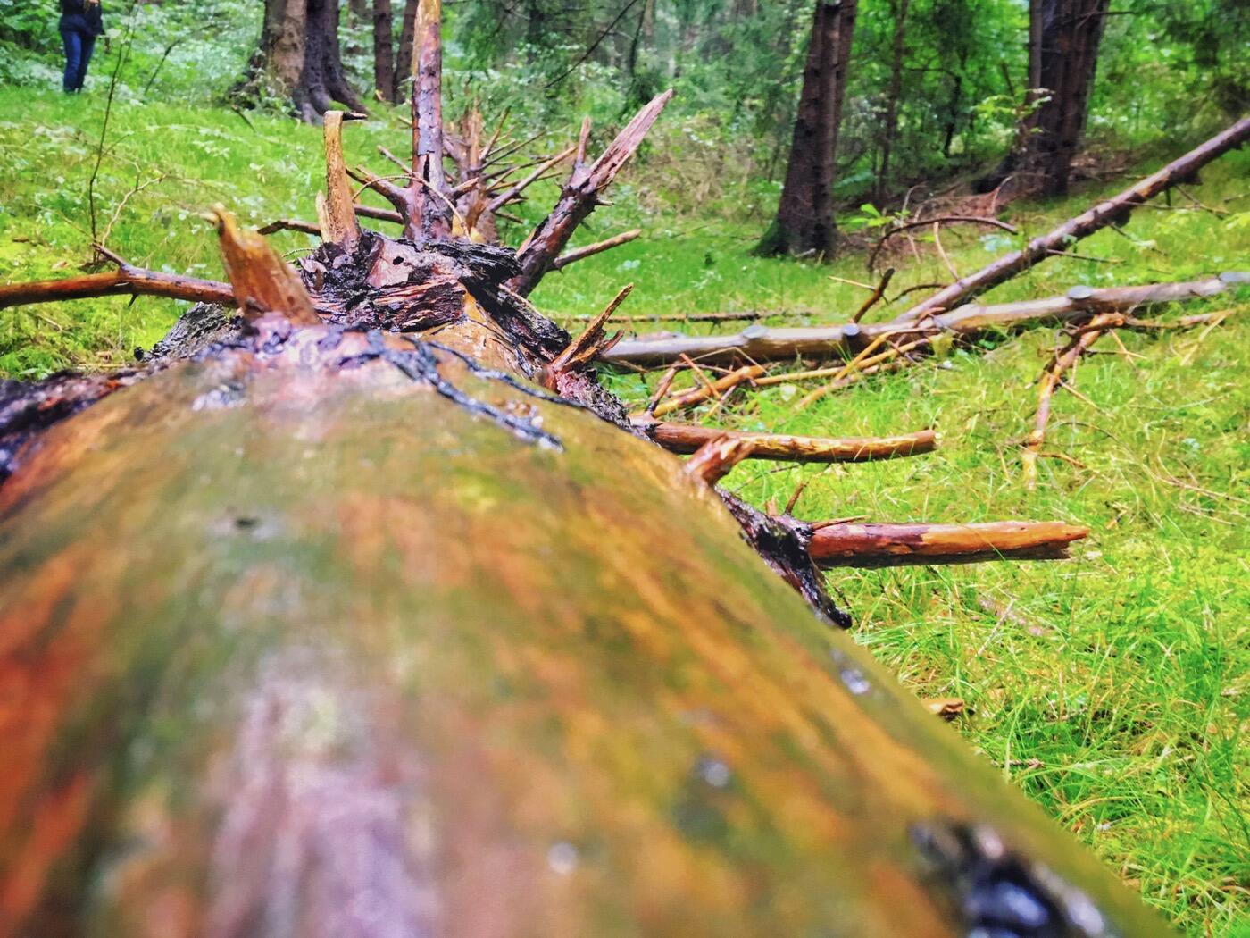 Bild ohne Beschreibung