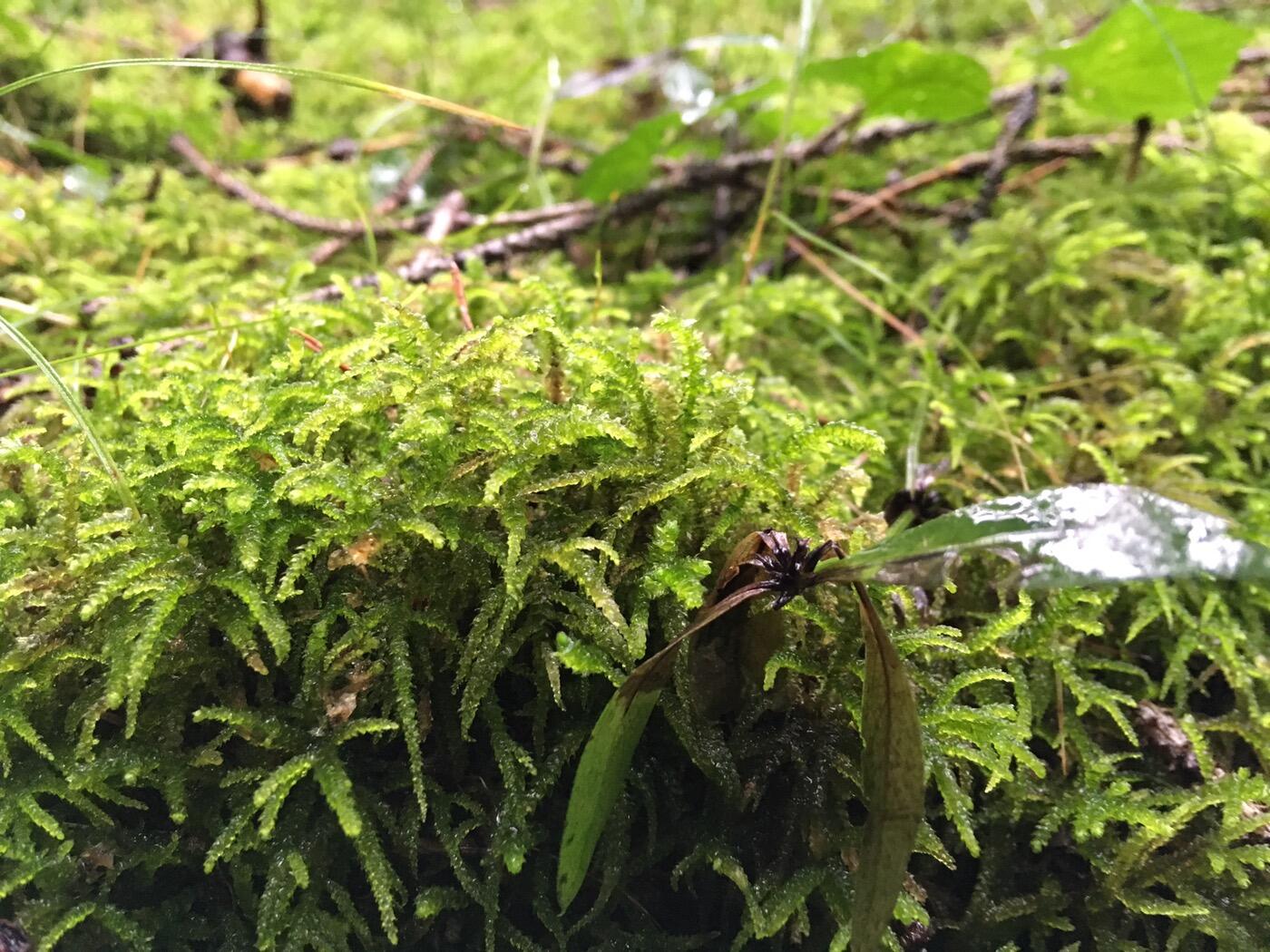 Bild ohne Beschreibung