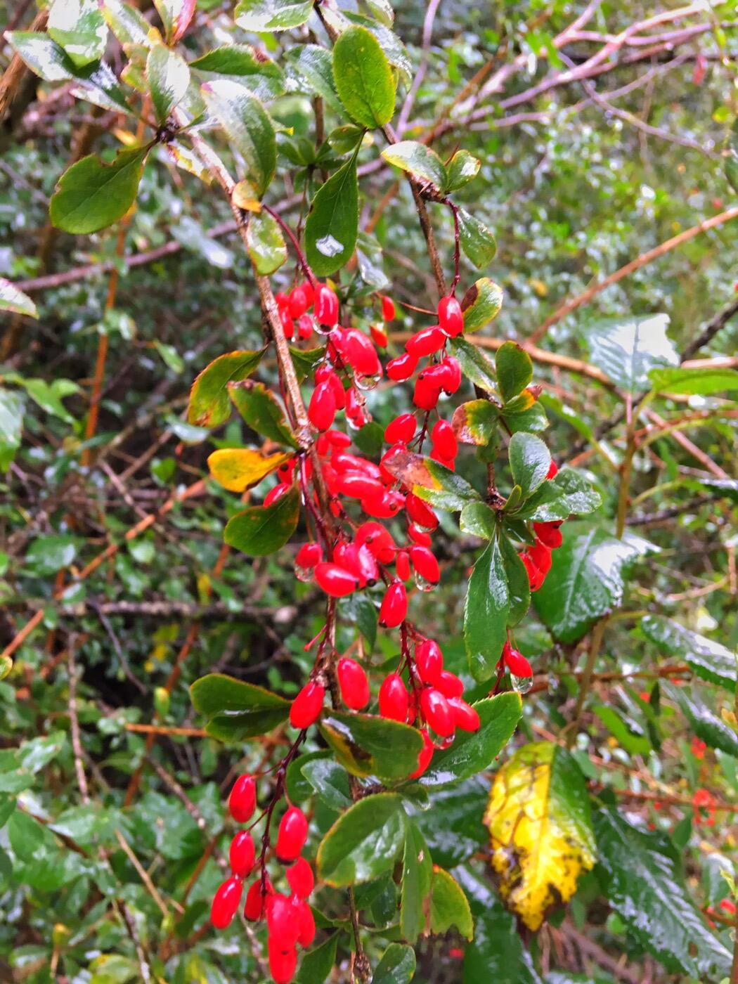 Bild ohne Beschreibung