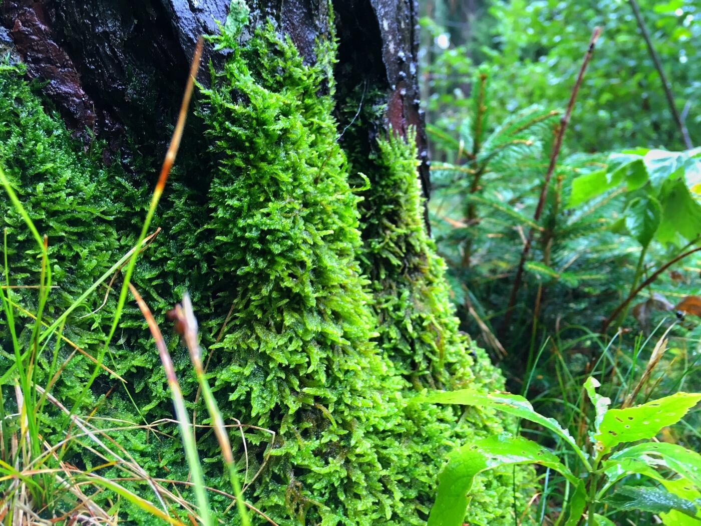 Bild ohne Beschreibung