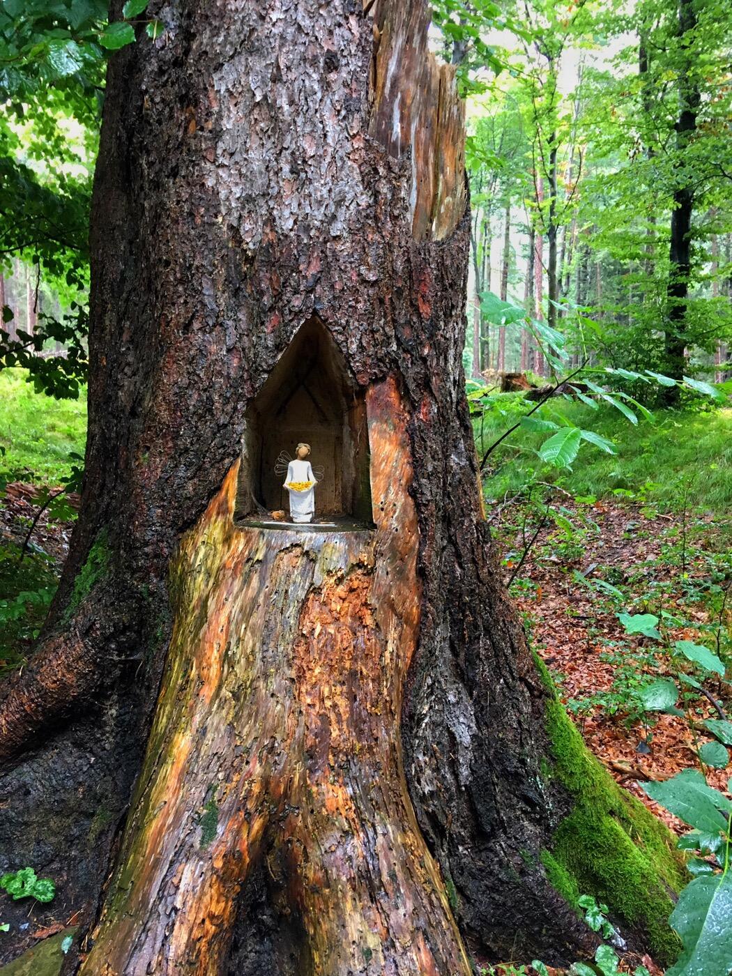 Bild ohne Beschreibung