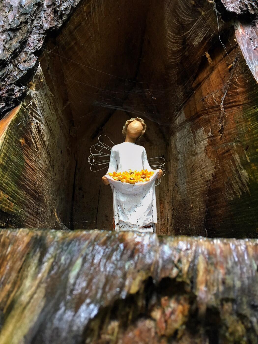 Bild ohne Beschreibung