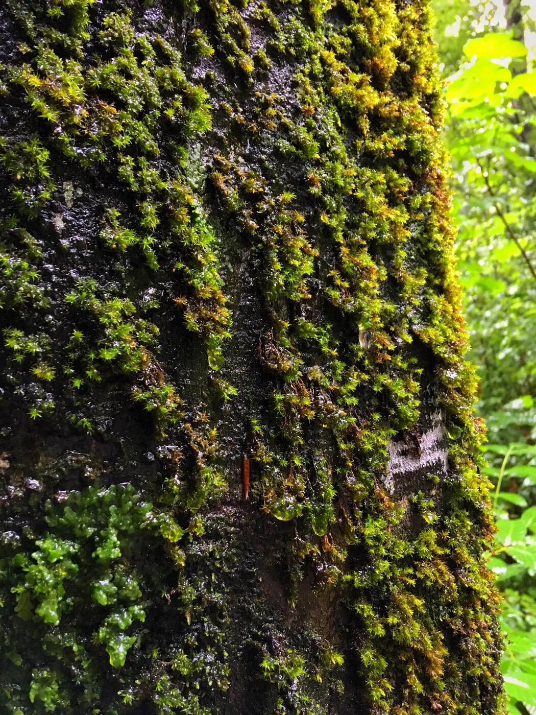 Bild ohne Beschreibung