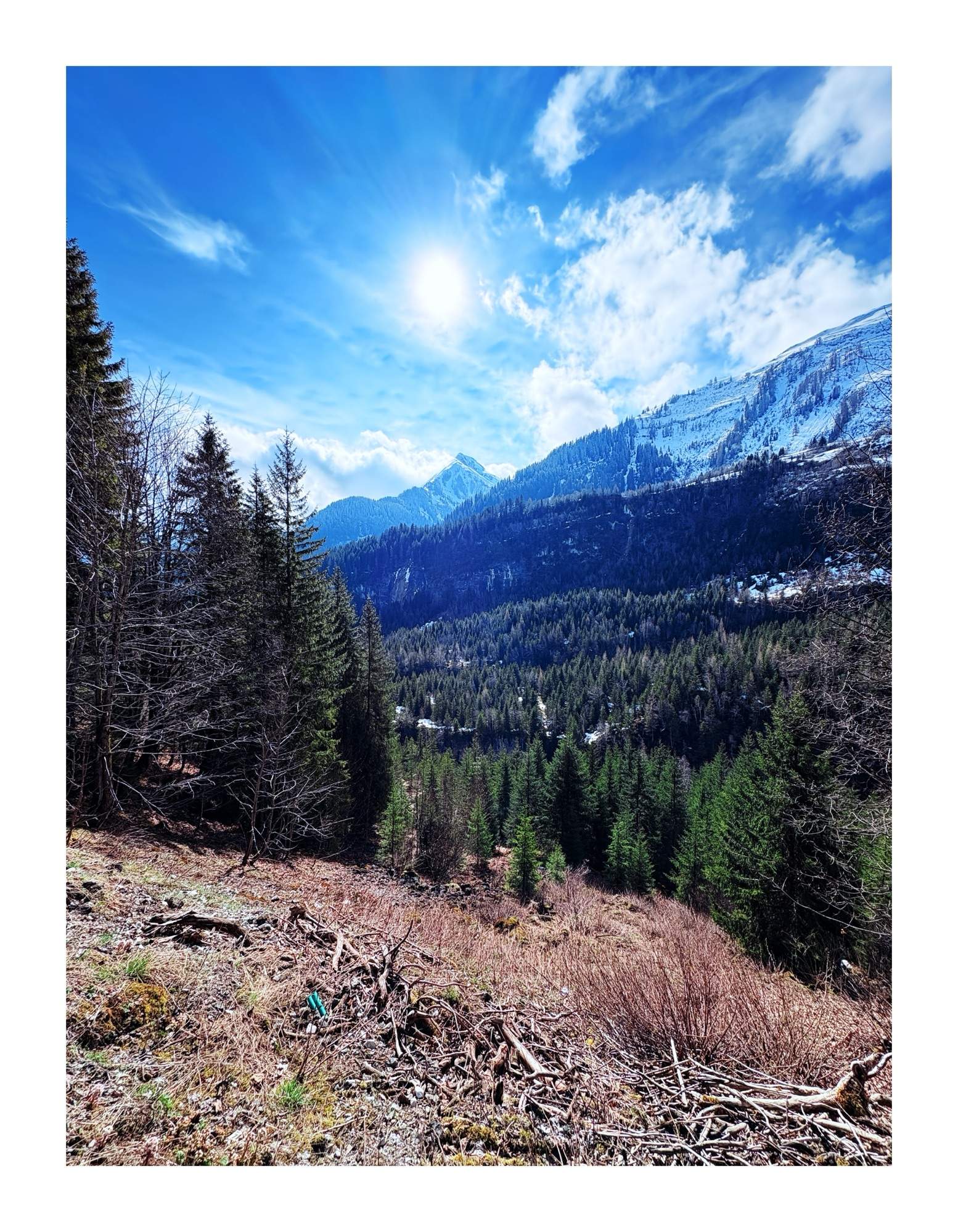 Bild ohne Beschreibung Bild ohne Beschreibung