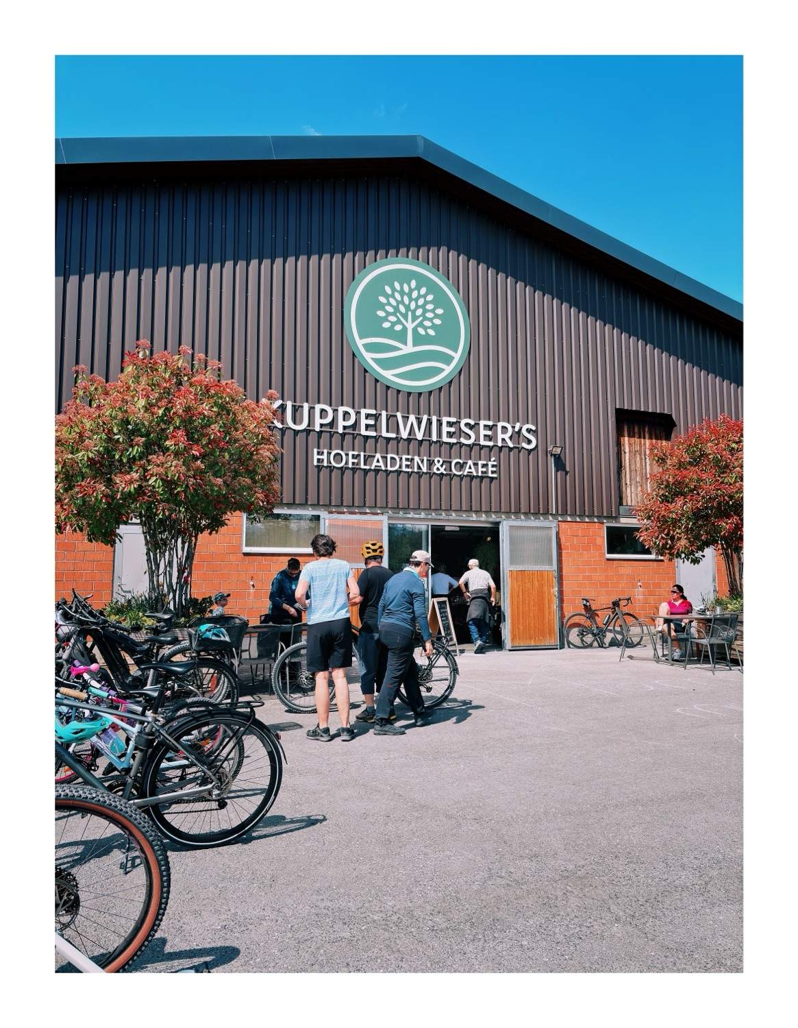 Bild ohne Beschreibung