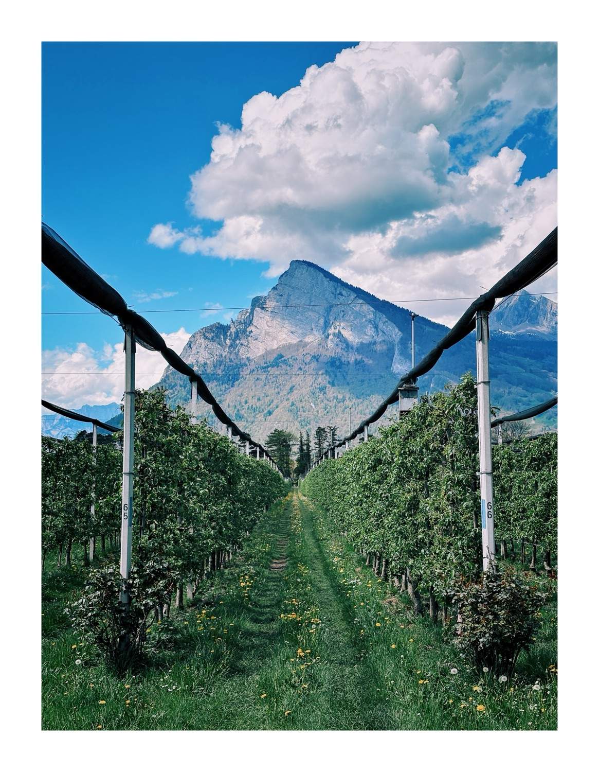 Bild ohne Beschreibung